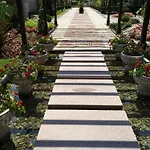 Oasis Resort&spa 2 * Lozenets